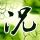 situs judi domino online Ogasawara dan Kondo mengundi undian (?) untuk latihan tambahan